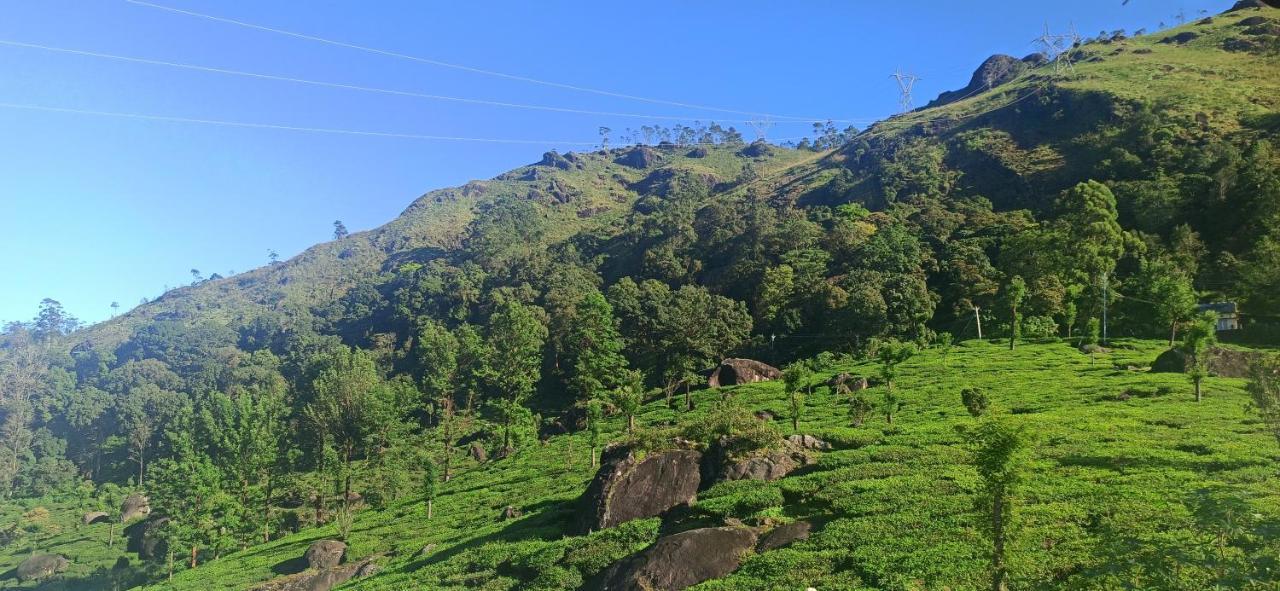 Tea Dale - All Rooms With Tea Estate View Munnar Esterno foto