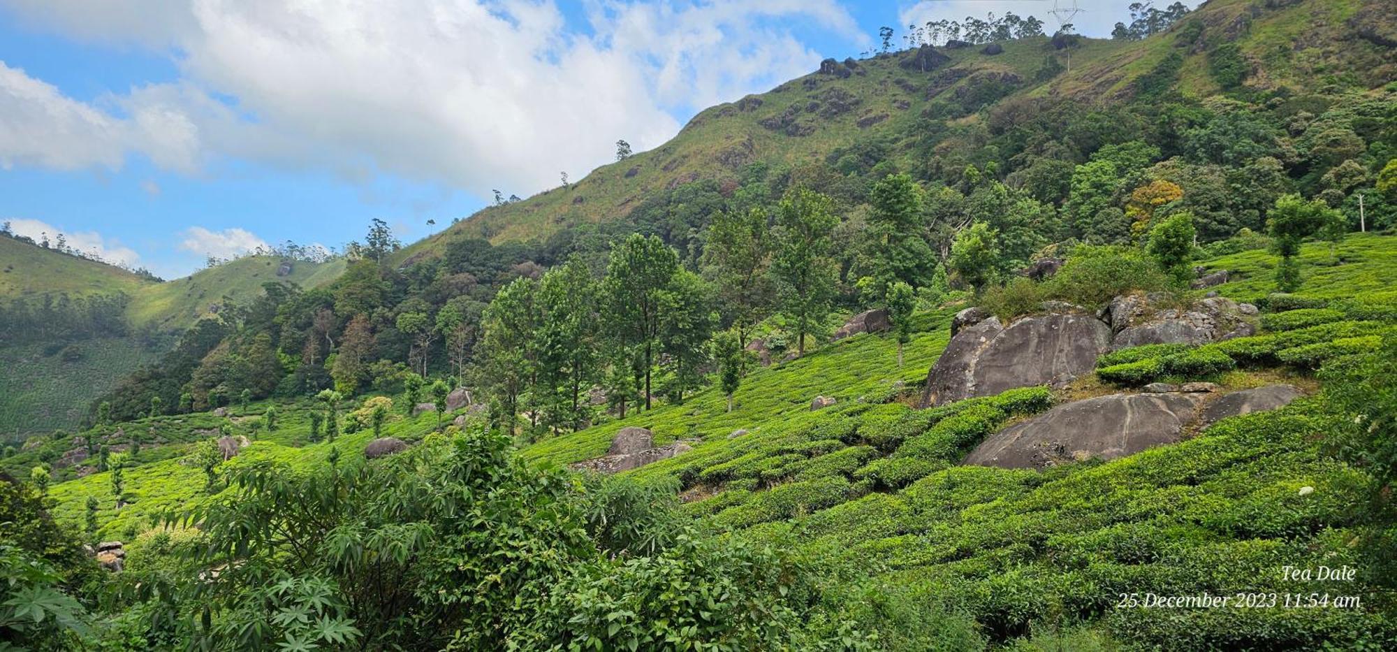 Tea Dale - All Rooms With Tea Estate View Munnar Esterno foto