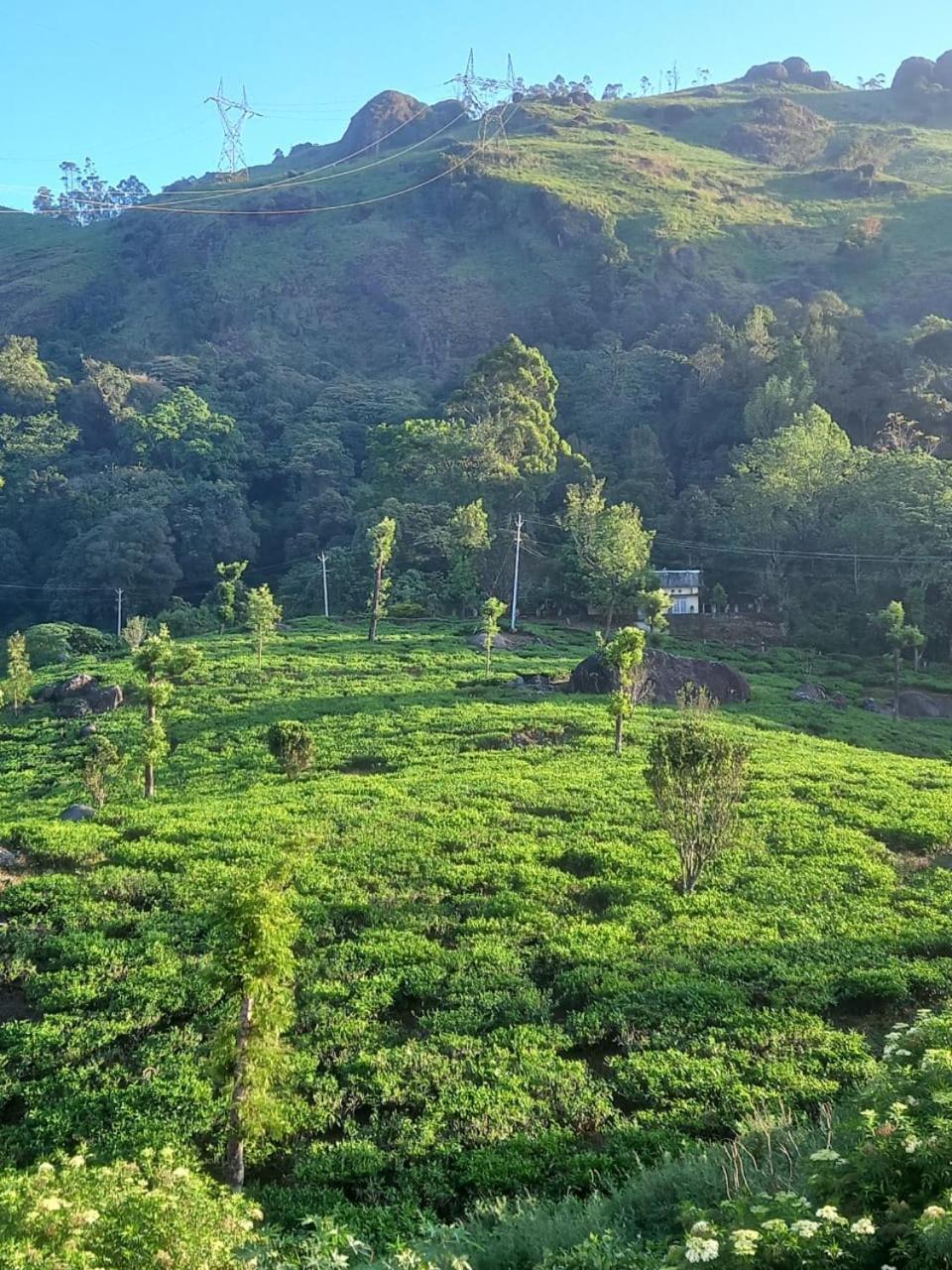 Tea Dale - All Rooms With Tea Estate View Munnar Camera foto