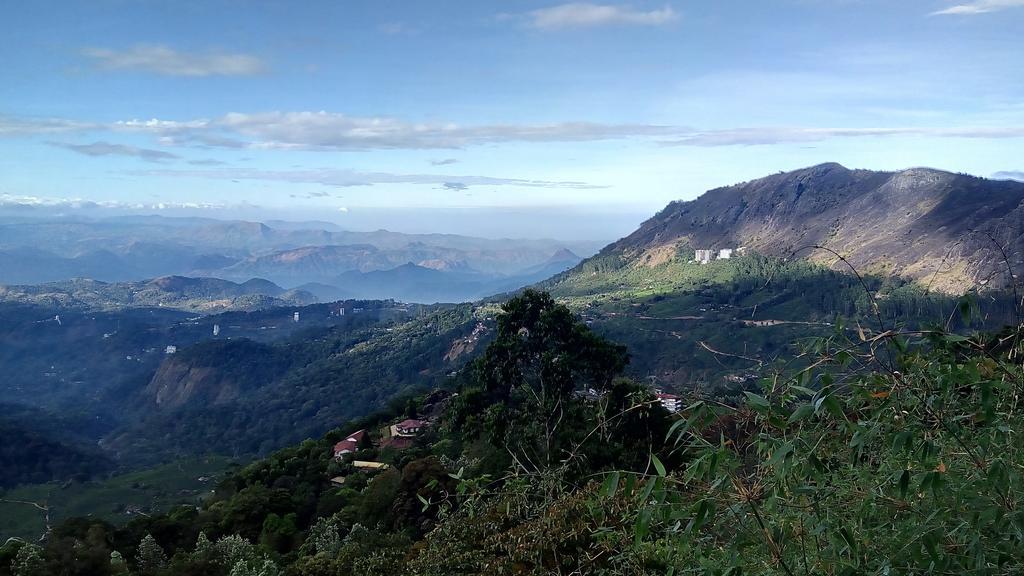 Tea Dale - All Rooms With Tea Estate View Munnar Esterno foto