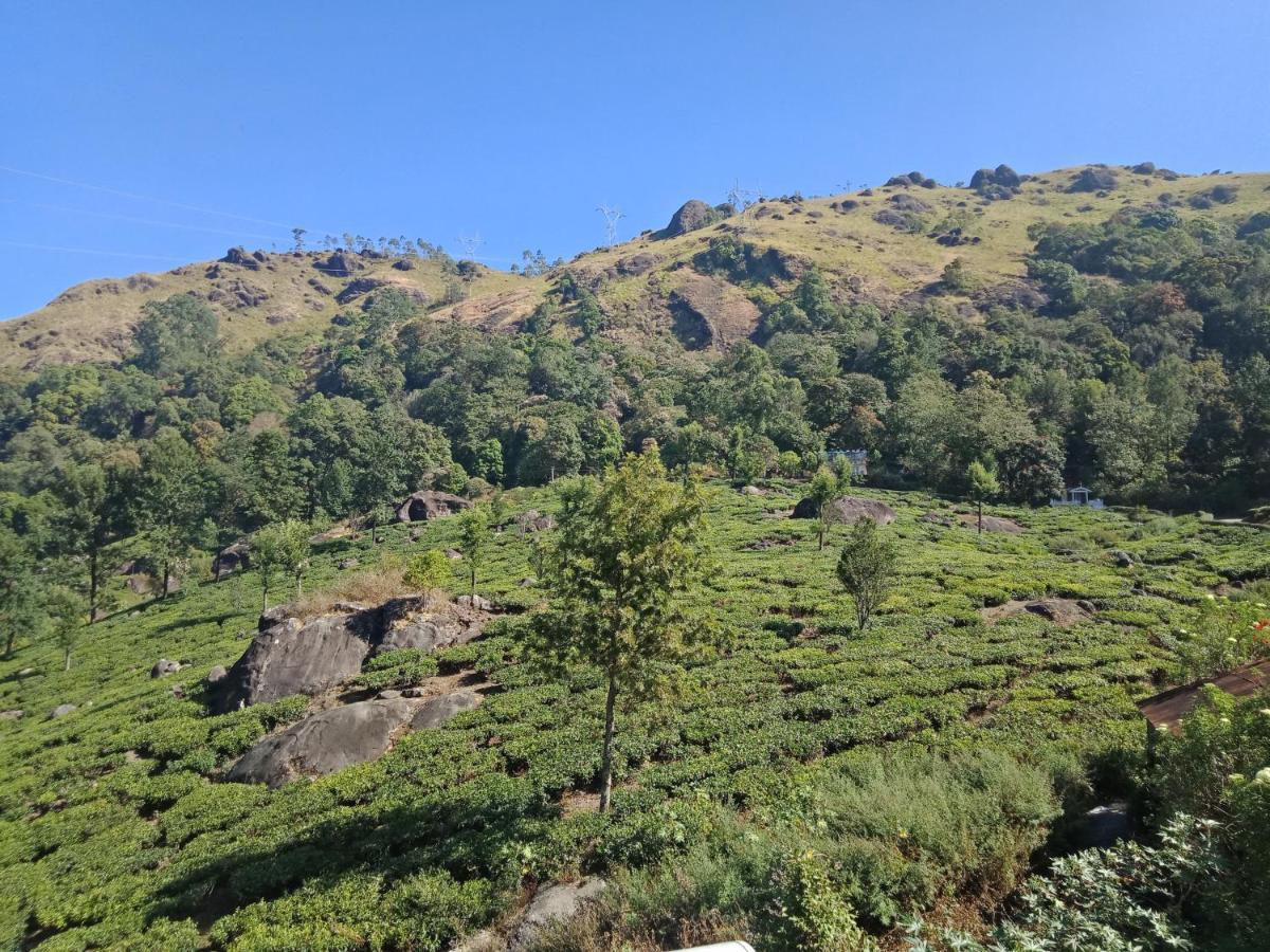 Tea Dale - All Rooms With Tea Estate View Munnar Esterno foto