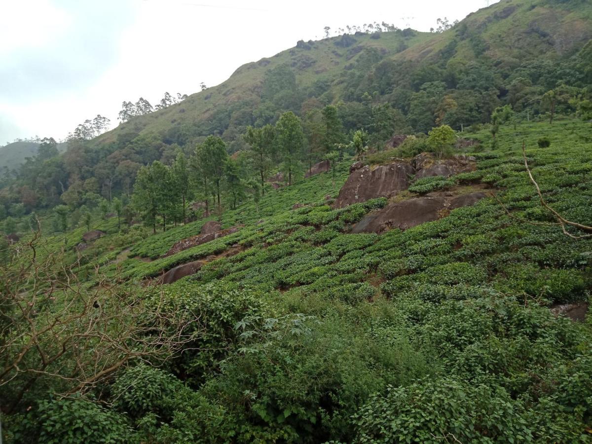 Tea Dale - All Rooms With Tea Estate View Munnar Esterno foto