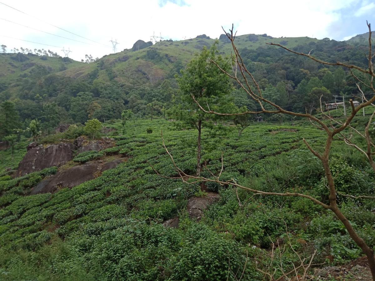 Tea Dale - All Rooms With Tea Estate View Munnar Esterno foto