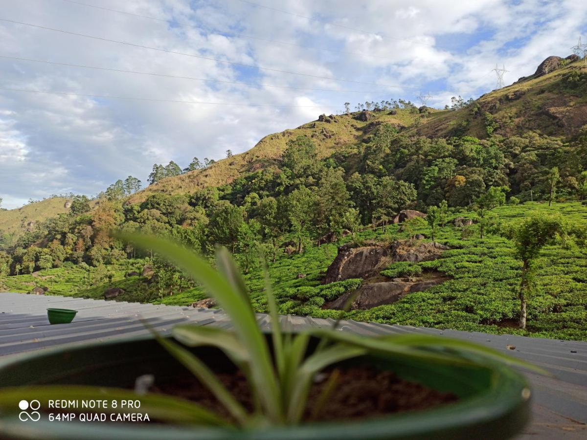 Tea Dale - All Rooms With Tea Estate View Munnar Esterno foto